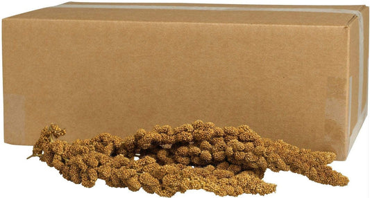 10 lb (2 x 5 lb) Kaytee Gold Spray Millet for Birds