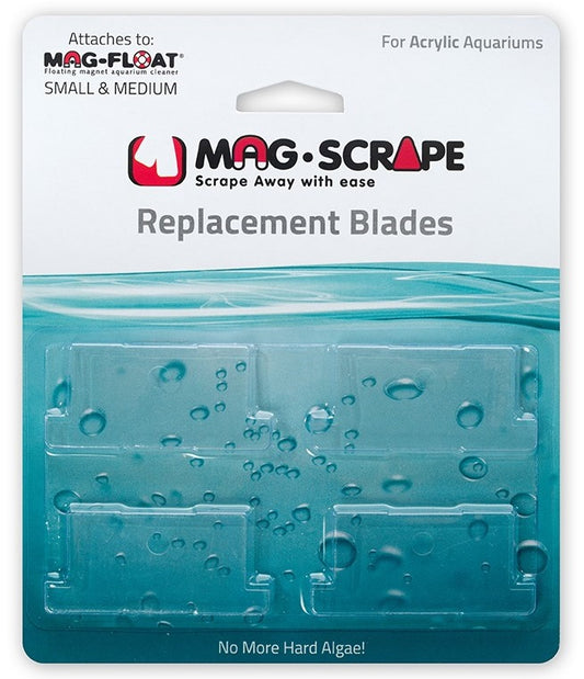 24 count (6 x 4 ct) Mag Float Replacement Blades for Small and Medium Acrylic Cleaners