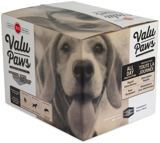 200 count (2 x 100 ct) Precision Pet Valu Paws Training Pad