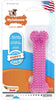 6 count Nylabone Puppy Chew Dental Bone Pink